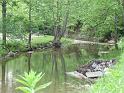 Looking downstream